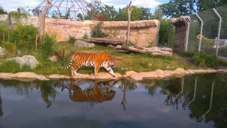 zoo-ohrada-hluboka-nad-vltavou